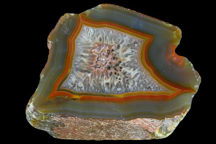 Beautiful Condor Agate From Argentina - Cut/Polished Face #79468